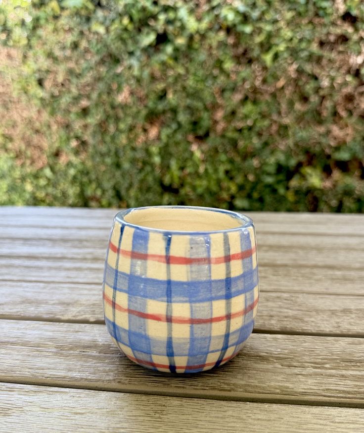 Plaid Picnic Tumbler